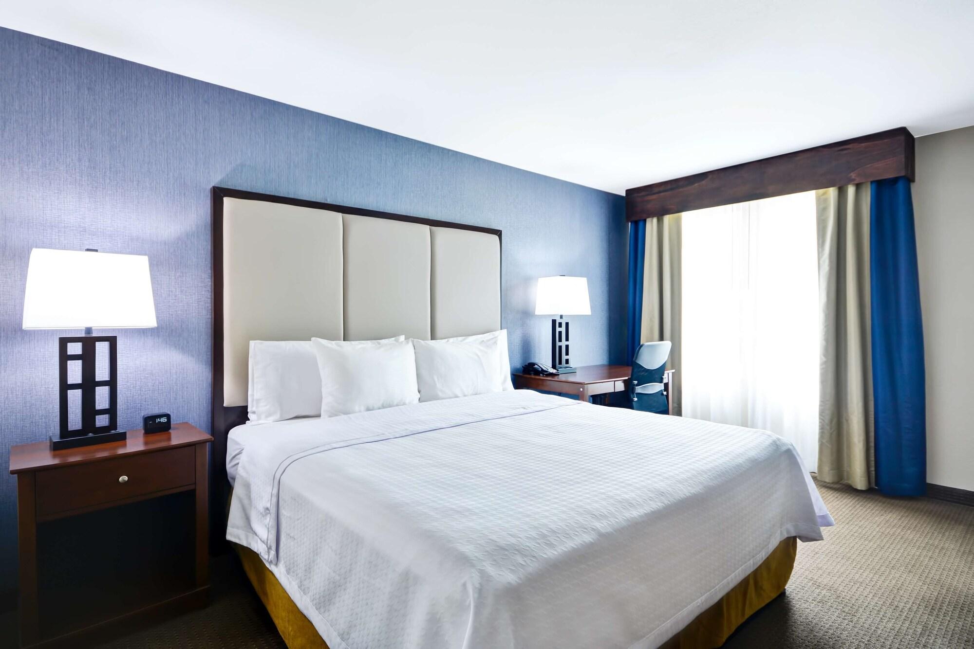 Homewood Suites By Hilton Dallas-Lewisville Exterior foto